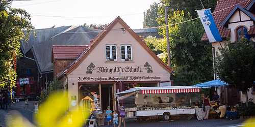 Markt am Weingut Geheimrat Schnell in Guntersblum 
