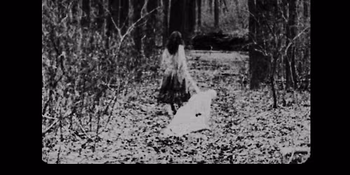 Begotten