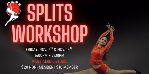 Splits Workshop with Emily