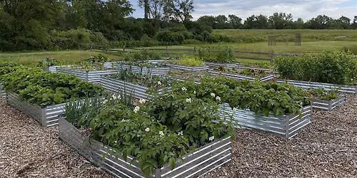 Greentown Grows Garden Work Event - June 27th