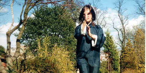 Taiji 37- The Origins of Tai Chi