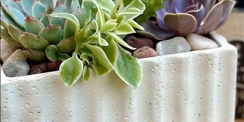 \ud83c\udf3f Mother\u2019s Day Succulent Planter Workshop \ud83c\udf3f