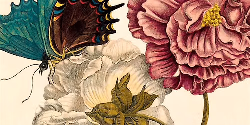 The Art of Observing Nature Workshop: inspired by Maria Sibylla Merian