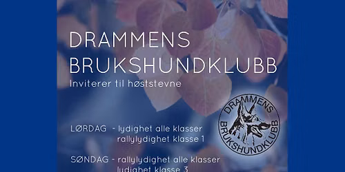 H\u00f8ststevne lydighet og rallylydighet