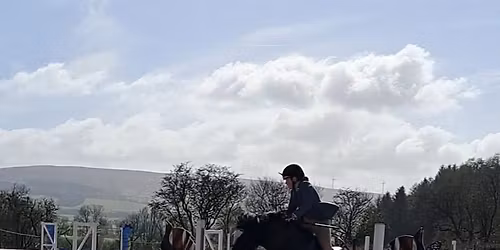 Wobbly SJ clinic