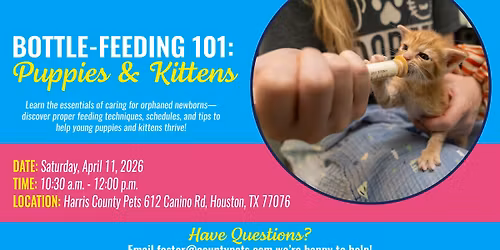 Bottle-Feeding 101: Puppies & Kittens