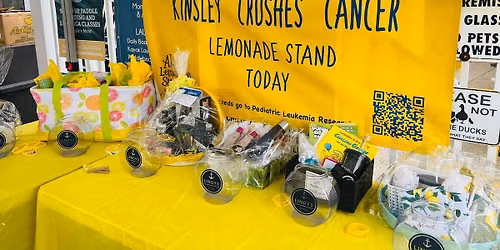 Kinsley & Emmy's Lemonade Stand to Crush Cancer!