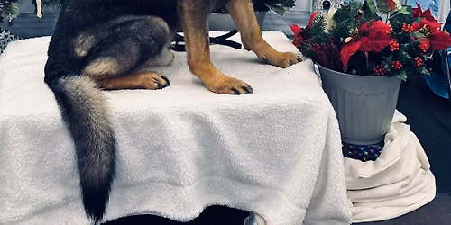 November Rally Match