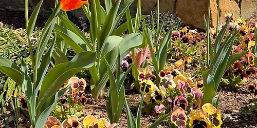 Guided Forest Therapy Walk in Flagler Perennial Garden