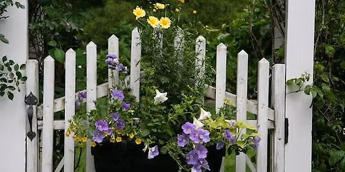 Trees & Bushes \u2013 Pruning: Why, When & How 
