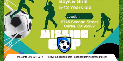 Mega Sports Camp, VBS