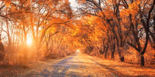 Songs for the Open Road