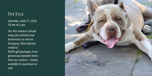 Pet Fest