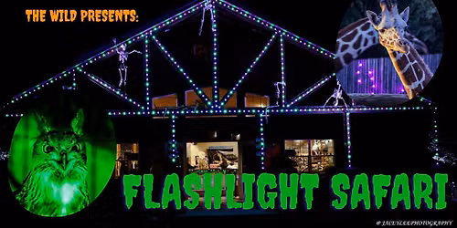 Flashlight Safari!