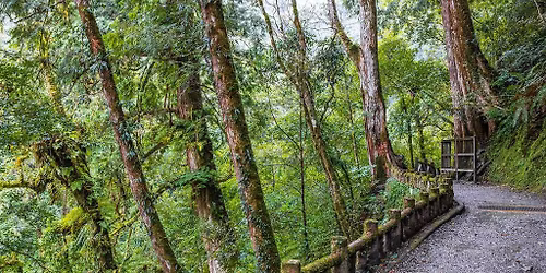 \u62c9\u62c9\u5c71\u4e00\u65e5\u904a