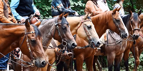 2026 Last Rider Up \/ Cowgirl Crew Series Awards 