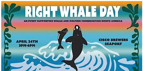 Right Whale Day Celebration