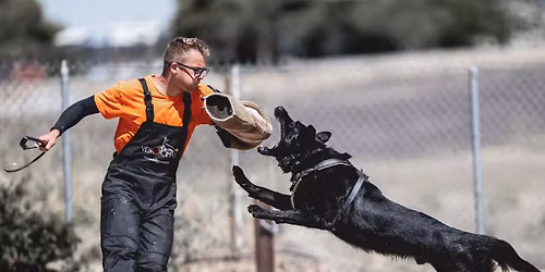 Denis Soldan Protection Workshop