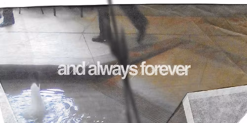 And Always Forever - Day 2 - Single Day Pass