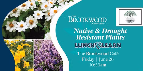 Native Drought Resistant Plants Lunch and Learn June 26