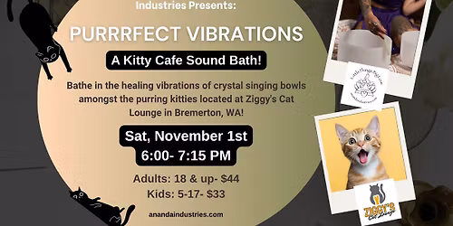 Purrrfect Vibrations- Ziggy's Cat Lounge Sound Bath!