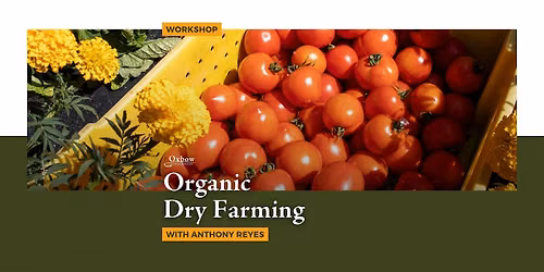 Organic Dry Farming Workshop