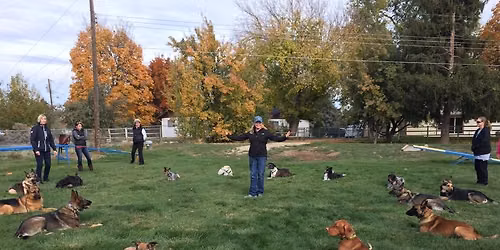 Basic Obedience Class - Six Weeks