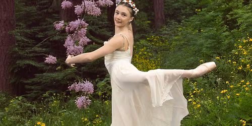 A Midsummer Night's Dream