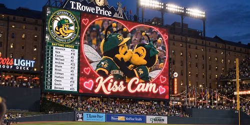 Green Hornets at Camden Yards