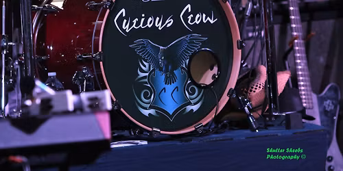 Curious Crow @ The Timber Lodge