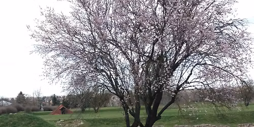 R\u00d3MAI-KORI VAD\u00c1SZAT II. Duna\u00fajv\u00e1ros