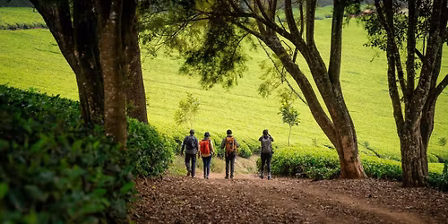 Ruaka to Kabuku Backroads Challenge