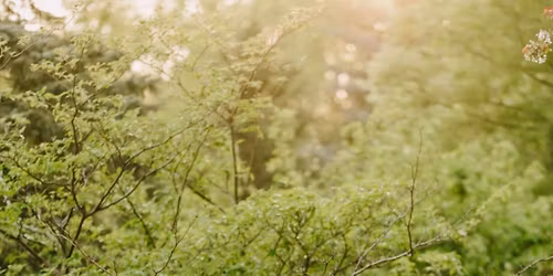 Wedding Social in Honour of AJ Beaudin & Jenny Teather