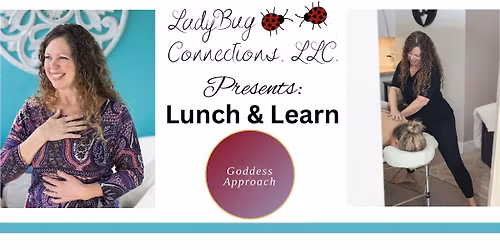 LadyBug Connections, LLC presents: Lunch & Learn Stop Pushing So Hard\u2014It\u2019s Not Working