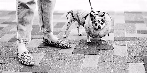 Street Photography Workshop