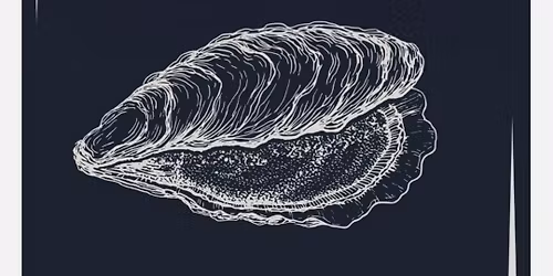 Les hu\u00eetres sont de sorties