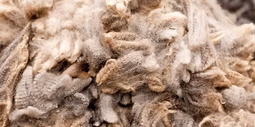 MAVWA fiber festival