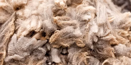 MAVWA fiber festival