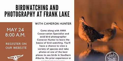 Birdwatching and Photography at Frank Lake