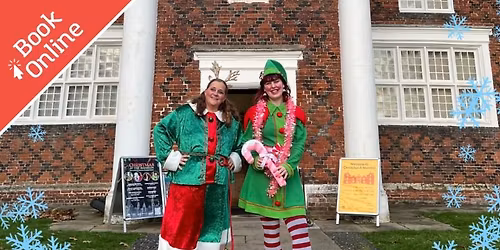 Christmas Family Twilight Tour