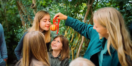 Julens planter \u2013 en familierundvisning i Botanisk Have