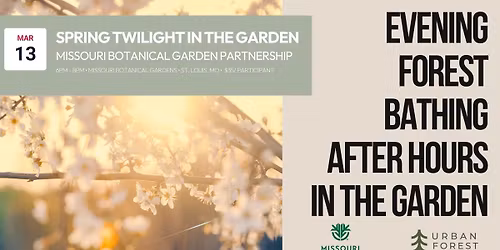 Spring Evening Forest Bathing in the Garden