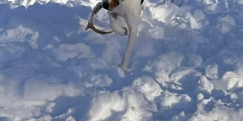 MSDA + Monadnock Sportsmen's Association NASDA Event