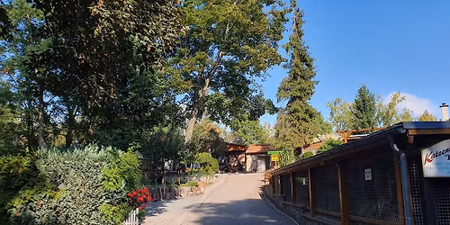 Bescherung f\u00fcr die Tierheimtiere