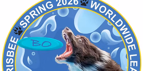 K9 Frisbee Toss & Fetch Spring League