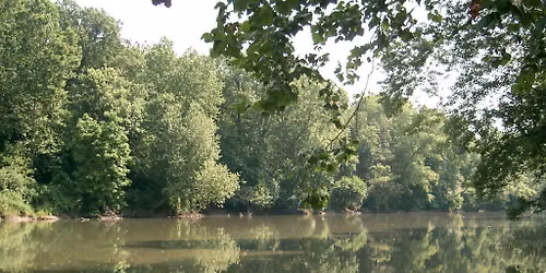 Paddling the Ripple Vol 3