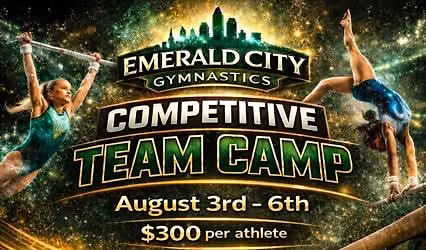 Competitive Team Training Camp