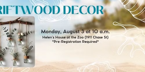 Driftwood Decor