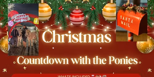 Christmas Countdown with the Ponies
