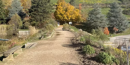 Trail du Ronzey 2026